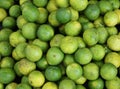 Citrus  limon, many fresh lemon in the shop Royalty Free Stock Photo